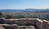 Trail Walking Toulon -  rando hubac (sortie locale autorisée pendant confinement) - Photo 1