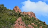 Tour Wandern Fréjus - Pk MF du Malpey - Piste des Malavalettes par Carrefour Roche Noire - Photo 5