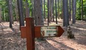 Trail Walking Lyas - Lyas  la Neuve  azur - Photo 16