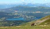 Trail Horseback riding La Morte - 2025-06-01 Rando CVA La Morte vers Pierre-Châtel - Photo 5