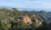 Trail Walking Saint-Raphaël - Les Suvières depuis Belle Barbe - Photo 3