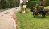 Trail Mountain bike Scharrachbergheim-Irmstett - Balade Vtt   Vosges  - Photo 10