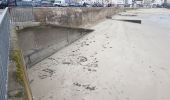 Trail Walking Quiberon - PR_56_Quiberon_AA_01_Cote-Sauvage_Circuit1b_20200103 - Photo 3
