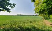 Tocht Stappen Ferrières - rando sy 3-05-2022 - Photo 15