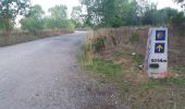 Trail Walking Burgos - Hornillos del Camino  - Photo 5