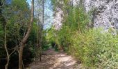 Tour Wandern Monieux - gorge de la Nesque via GR9 - Photo 3