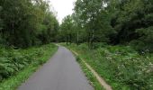 Trail On foot Roetgen - Roetgen Rundweg A3 - Photo 3