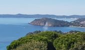 Tour Wandern Cavalaire-sur-Mer - DE CAVALAIRE AU RAYOL - MER ET CRÊTES - Photo 20