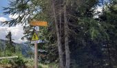 Trail Walking Bourg-Saint-Maurice - les arcs -> valandry - Photo 3