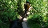 Trail Horseback riding Falck - Falck, forêt de la Houve  - Photo 3