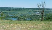 Trail Walking Arques-la-Bataille - Arque la Bataille - Photo 2