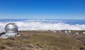 Excursión Senderismo Garafía - La Palma 5 : GR131- Roque de Los Muchachos - Pic de la Nieve - Photo 19