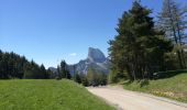 Tocht Stappen Gresse-en-Vercors - Gresse en Vercors - Croix de Somme Longue - Photo 6