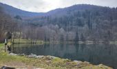 Randonnée Marche Sewen - Sewen - abris de Dolleren et du Sommerseite - Lachtelweiher - Col du Lochberg - Wissgrut - Photo 18