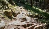 Trail Walking Chamonix-Mont-Blanc - Argentieres(aire de jeu) - Photo 3