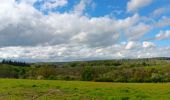 Tour Wandern Esneux - autour du parc du Mary - variante  - Photo 14