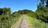 Excursión Senderismo Fleury - en Forêt de Retz_92_05_2022_Rond d'Orléans_Chapeau des Cordeliers_la Laie des étangs de Longpont - Photo 4