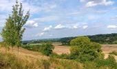 Tour Wandern Riemst - qwadrifyon ches les bataves  - Photo 12