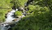 Trail On foot Unknown - Andorre : Parc de Sorteny - Photo 7