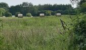 Tour Wandern Theux - La Reid  .  Vert Buisson  .  Charmille  .  La Reid - Photo 8