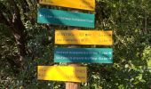 Trail Walking Seynes - Mont Bouquet - Photo 6