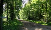 Tour Wandern Saint-Crépin-aux-Bois - en forêt de Laigue_13_05_2021_le Mont des Châtillons - Photo 15