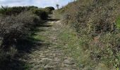 Trail Walking Creysseilles - Magerouan Le Chier14km. - Photo 2