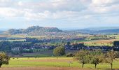 Tour Zu Fuß Homberg (Ohm) - GeoTour Felsenmeer - Photo 3