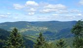 Tocht Stappen Bussang - Circuit col de bussang / tête de la Bouloie - Photo 14