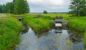 Percorso A piedi Alt Zauche-Wußwerk - weg Wußwerk-Caminchen- Waldow-Mochow-Mochowsee - Photo 9