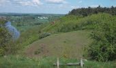 Tour Zu Fuß Wettin-Löbejün - RundwegTannengrund Teufelsgrund Rothenburg - Photo 6