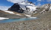 Tocht Stappen Tignes - lacs de la Leisse - Photo 4