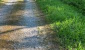 Trail Walking Chimay - Vouloir - Photo 1