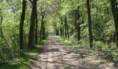 Trail On foot Enschede - Wandelnetwerk Twente - oranje route - Photo 8