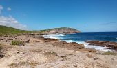 Trail Walking Le Moule - Porte d'Enfer - Anse Gros Morne - Photo 12