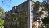 Randonnée Marche Hyères - Ile de Porquerolles - Photo 12