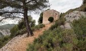 Trail Walking Ollioules - Château Vallon -25-05-22 - Photo 4