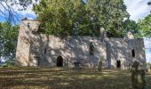 Tour Zu Fuß Meißner - Kupferbachtal und Wellingeröder Höhe - Photo 8