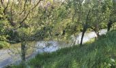 Randonnée Marche La Penne-sur-Huveaune - La Candolle Penne sur Huvaune - Photo 2