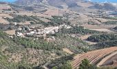 Trail Walking Port-Vendres - paulilles banyuls - Photo 2