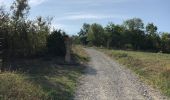 Tocht Stappen Hohengœft - Chemin de croix baptême Loulou  - Photo 12