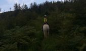 Trail Horseback riding Turquestein-Blancrupt - petit donon - Photo 7