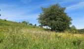 Tour Zu Fuß Großalmerode - Großalmerode, Rundweg 21 - Photo 4