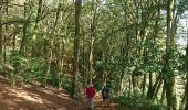 Tour Wandern Saint-Léger-sous-Beuvray - 190920-Morvan-3 - Photo 9