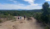 Trail Walking Roquebrune-sur-Argens - Pic Bourete - Photo 1