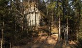 Tour Zu Fuß Veldensteiner Forst - Veldensteiner Forst - Rundweg Dachs - Photo 2