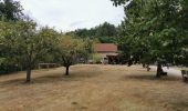 Trail Walking Wissembourg - Gr5J1 - Photo 5