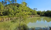 Tour Wandern Méounes-lès-Montrieux - Meounes les Montrieux-Lac - Photo 4