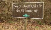 Trail Walking Hussigny-Godbrange - Moulaine Selomont 7km cercle bleu - Photo 4