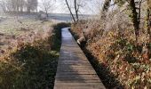 Percorso Marcia Borgloon - Promenade vers l'Aeneas Wilder  - Photo 4